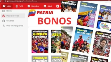 Bonos Patria que aumentaron el último mes de 2024 (+Montos)