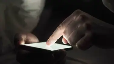 ley regulación contendio pornográfico florida eeuu ley regulación contendio pornográfico florida eeuu