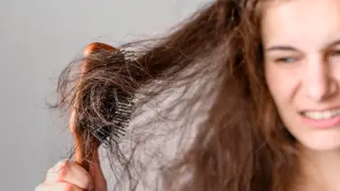 ¿Cabello maltratado? Esta planta lo repara y ayuda a crecer  ¿Cabello maltratado? Esta planta lo repara y ayuda a crecer
