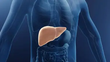 ¿Padeces de diabetes? Esta es la mejor fruta para limpiar el hígado ¿Padeces de diabetes? Esta es la mejor fruta para limpiar el hígado