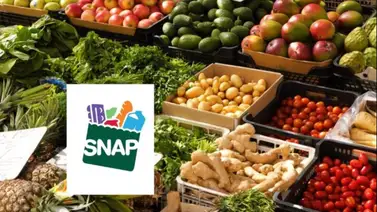 Este es el cronograma de la recertificación de los cupones SNAP Este es el cronograma de la recertificación de los cupones SNAP