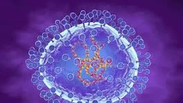 Aumentan los casos del virus HMPV en India
