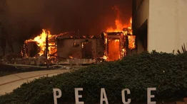2001online - Estados Unidos - los ángeles emergencia incendios
