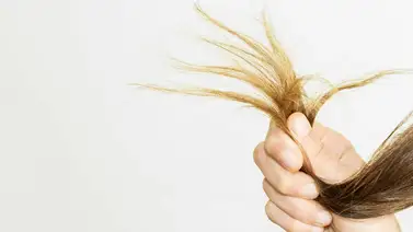 Elimina las puntas abiertas sin necesidad de cortarte el cabello Elimina las puntas abiertas sin necesidad de cortarte el cabello