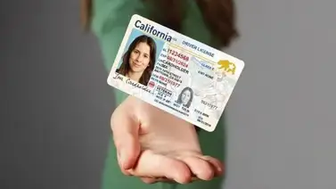 Así puede reemplazar la Green Card al tramitar la Real ID Así puede reemplazar la Green Card al tramitar la Real ID