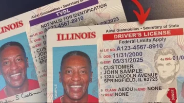 Illinois-licencia-conducir-estándar-realid