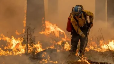california-incendios-donativos-afectados
