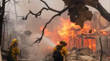 Revelan cifra de detenidos durante incendios en California Revelan cifra de detenidos durante incendios en California