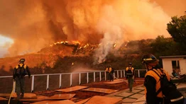 Incendios en California: Cuantiosas pérdidas millonarias sin precedentes
