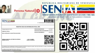 RIF para menores: Recaudos para gestionar el documento en el Seniat