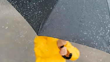 Ola de frío Florida Ola de frío Florida