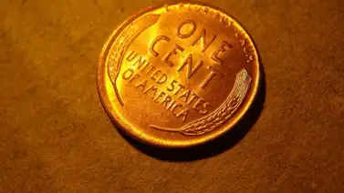 Conoce los centavos de trigo con valor de hasta $100.000: ¿Cómo reconocerlos? Conoce los centavos de trigo con valor de hasta $100.000: ¿Cómo reconocerlos?