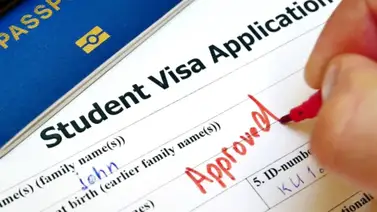 Capturan a gestora por tráfico de migrantes: Procesó más de 400 visas falsas de Estados Unidos Capturan a gestora por tráfico de migrantes: Procesó más de 400 visas falsas de Estados Unidos