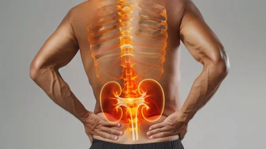 Conoce cuál es la infusión más efectiva para limpiar los riñones