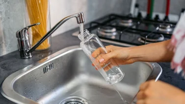 Claves para evitar hongos y bacterias en las botellas de plástico 