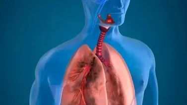 El remedio casero para limpiar los pulmones fácilmente