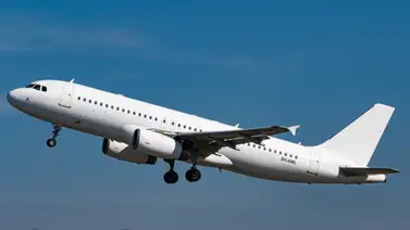 Desde Brasil hasta Caracas: Confirman nueva conexión internacional Desde Brasil hasta Caracas: Confirman nueva conexión internacional