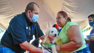 Atención veterinaria: Cinco jornadas gratuitas este 18 de enero