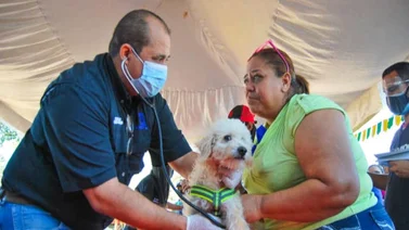 Atención veterinaria: Cinco jornadas gratuitas este 18 de enero