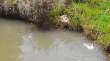 Fallece niña de un año tras caer en un pozo de agua en Lara