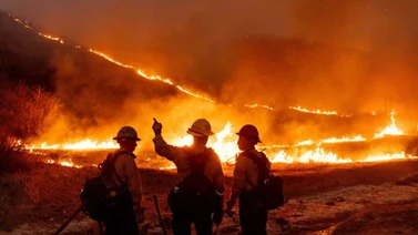 incendios-los-ángeles-EXENCIÓN-IMPUESTOS