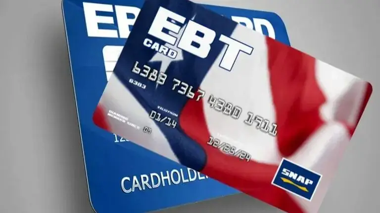 tarjetas ebt snap