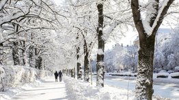 Florida toma medidas de emergencia ante el clima gélido: se espera nieve y lluvia helada