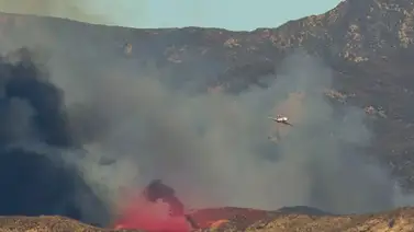 Miles de personas evacuadas de Los Ángeles: nuevo incendio descontrolado azota la ciudad Miles de personas evacuadas de Los Ángeles: nuevo incendio descontrolado azota la ciudad