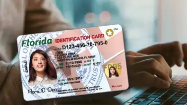 Real ID en Florida: Lo que necesita saber para tramitar el documento Real ID en Florida: Lo que necesita saber para tramitar el documento
