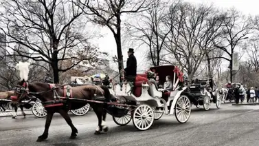 2001online - USA - Nueva York 2001online - USA - Nueva York