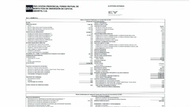 BBVA PRO-DIVISA PROVINCIAL FONDO MUTUAL DE RENTA FIJA DE INVERSIÓN DE CAPITAL, C.A  27 ENE 2025