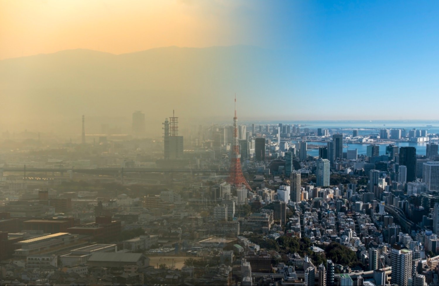 Formas de ayudar al planeta y generar menos contaminación ambiental Formas de ayudar al planeta y generar menos contaminación ambiental