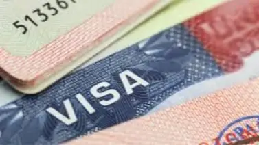Visa Burroughs USA: Las opciones que sustituyen el documento Visa Burroughs USA: Las opciones que sustituyen el documento