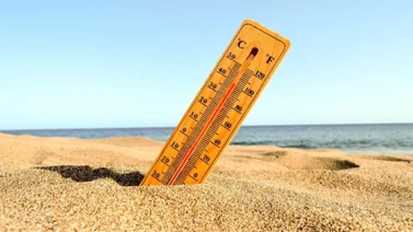 ¿Cuándo regresa el calor a Florida tras el frío extremo?: Este es el pronóstico del NWS