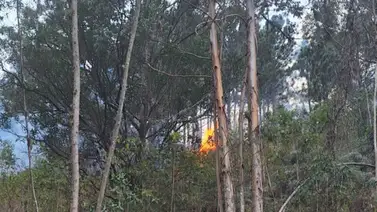 Avioneta se desploma en cerro de El Hatillo: Reportan dos fallecidos Avioneta se desploma en cerro de El Hatillo: Reportan dos fallecidos