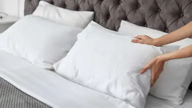 Sabes cada cuánto debes cambiar las almohadas ¡Esto dicen los expertos! Sabes cada cuánto debes cambiar las almohadas ¡Esto dicen los expertos!