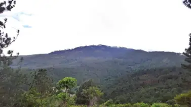 Rescatan a mujer perdida en parque nacional San Esteban: Su esposo sigue desaparecido Rescatan a mujer perdida en parque nacional San Esteban: Su esposo sigue desaparecido