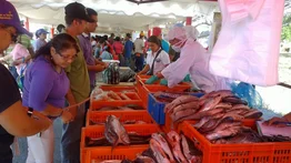 Caracas y Miranda: Feria del pescado este 31 de enero 