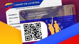 Nuevos bonos en la Plataforma Patria: ¿Cuáles comienzan a pagar del 5 al 10 de enero? 