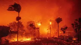 A un año de los incendios de Los Ángeles: la reconstrucción avanza lentamente