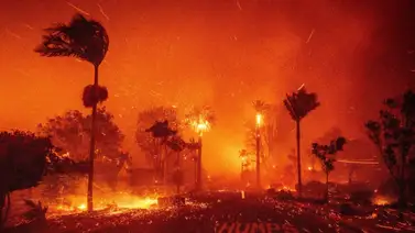 A un año de los incendios de Los Ángeles: la reconstrucción avanza lentamente A un año de los incendios de Los Ángeles: la reconstrucción avanza lentamente