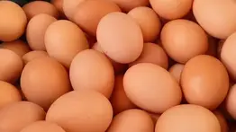 2001online - Caracas- huevos