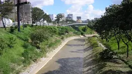 Hallan cadáver en las riberas del río Guaire: esto dicen las autoridades