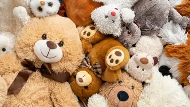 Guía práctica para lavar los peluches: la temperatura es más importante de lo que crees Guía práctica para lavar los peluches: la temperatura es más importante de lo que crees