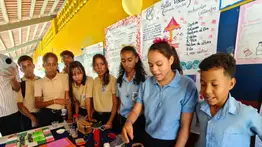 Segundo momento escolar: esta es la actividad que desarrollarán todos los estudiantes del país