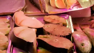 2001online - Caracas- PESCADO 2001online - Caracas- PESCADO