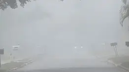 Visibilidad cero hasta marzo en Florida: sigue estas reglas de oro al volante 