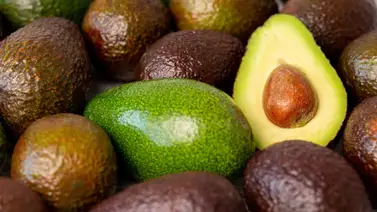 ¡No botes ni un poquito del aguacate!: Aprende a elegirlo y mantenerlo fresco por más tiempo ¡No botes ni un poquito del aguacate!: Aprende a elegirlo y mantenerlo fresco por más tiempo