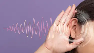 En Caracas se denuncian a los vecinos abusadores: estas son las sanciones por ruidos molestos En Caracas se denuncian a los vecinos abusadores: estas son las sanciones por ruidos molestos