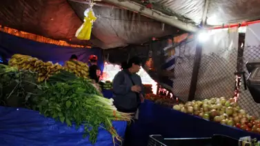 2001online - Venezuela- Hortalizas 2001online - Venezuela- Hortalizas